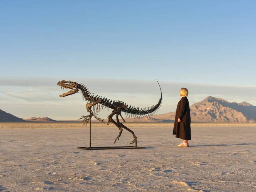Mounted Ceratosaurus Next To A Woman