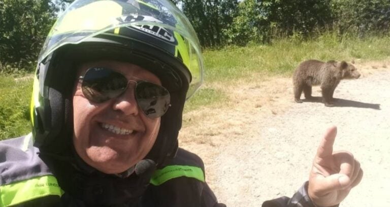 Omar Farang Zin Bear Attack Featured