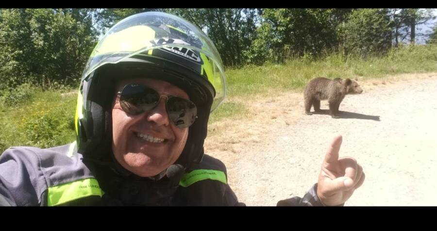 Omar Farang Zin Bear Attack