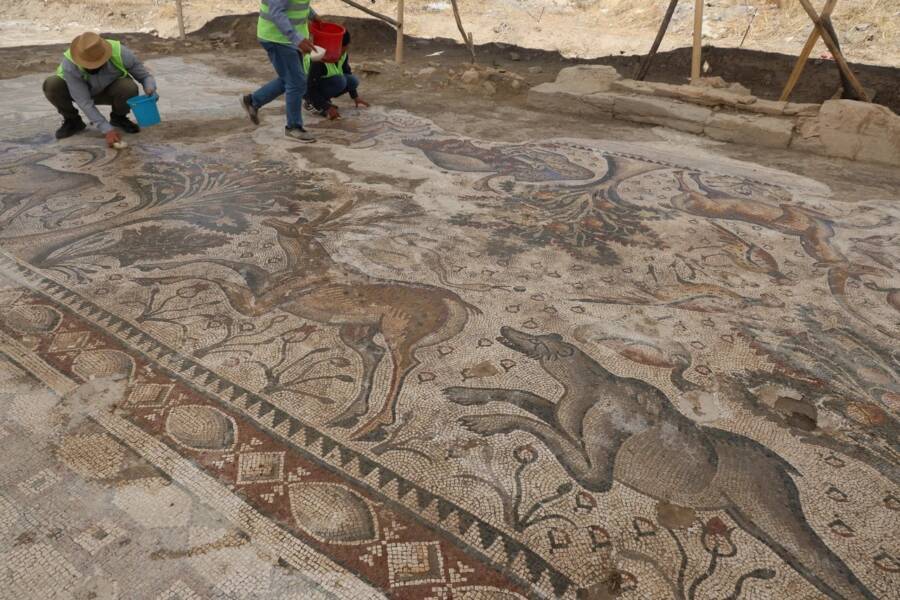 Roman Mosaic Found By Turkish Farmer