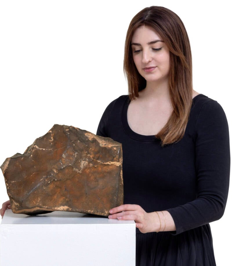 Sothebys Meteorite Auction