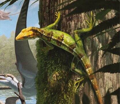 Sphenodraco Scandentis Illustration
