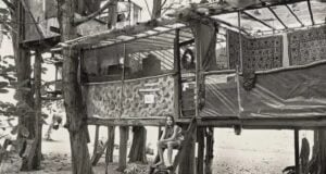 Taylor Camp Treehouse Featured