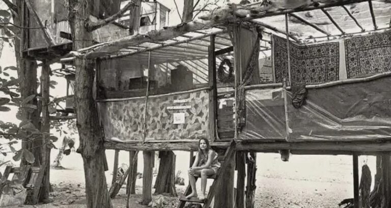 Taylor Camp Treehouse Featured