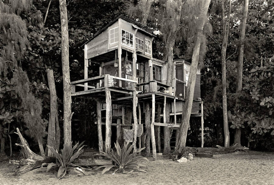 Taylor Camp