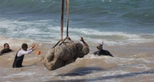 Abu Qir Bay Statues Featured