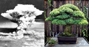 Atomic Bombings Of Hiroshima And Nagasaki Featured
