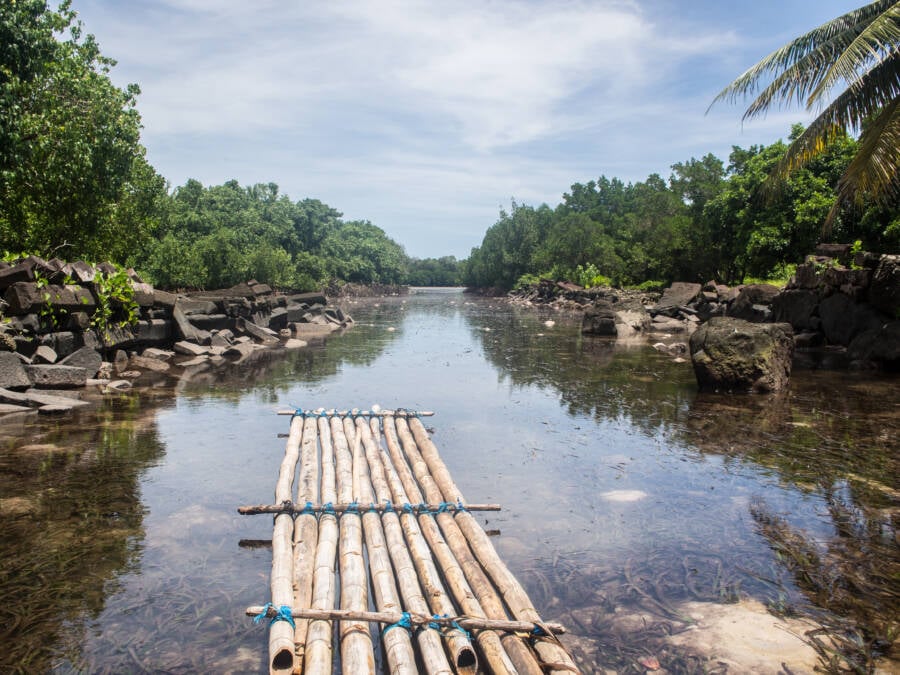 Bamboo Walkway At Nan Madol