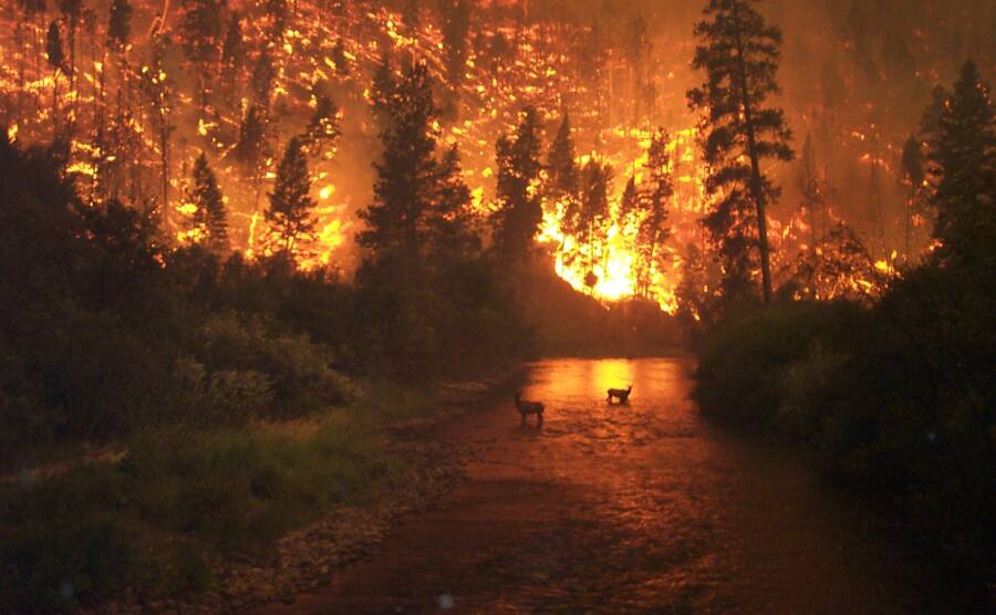 Largest Wildfire In US History