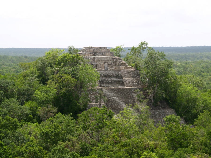 How Big Was Maya Civilization