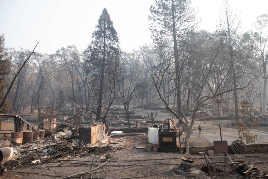 Camp Fire Aftermath