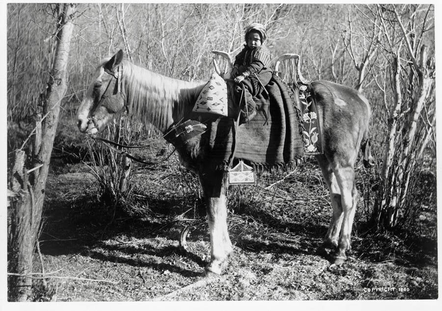 Child On A Horse