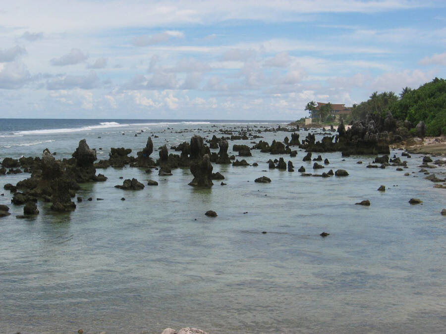 Coral Pillars Of Nauru