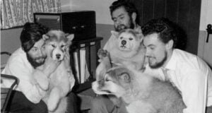 Dennis Bell With Colleagues And Dogs Featured