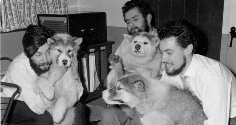 Dennis Bell With Colleagues And Dogs Featured