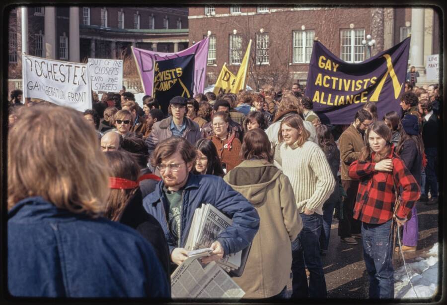 Diana Davies Photo Of A Gay Rights Demonstration