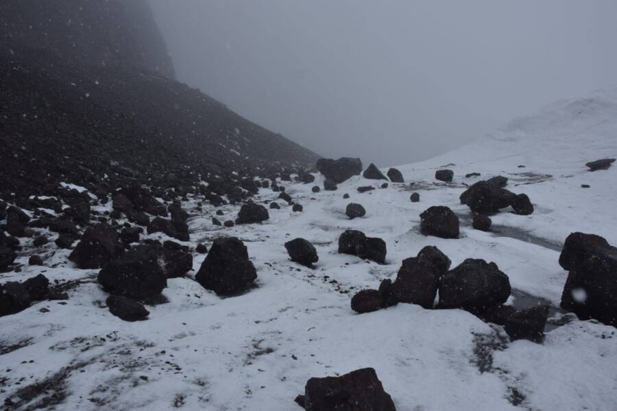 Ecology Glacier