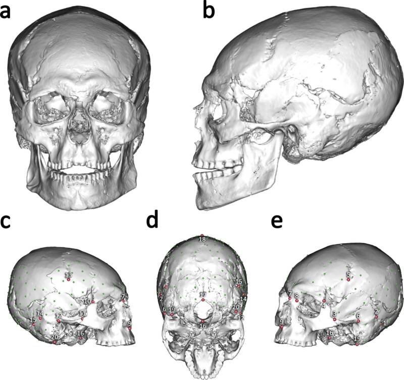Elongated Stone Age Skull Reconstructions