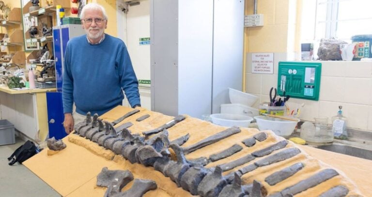 Lockwood With Spinal Column Of Istiorachis Macarthurae Featured