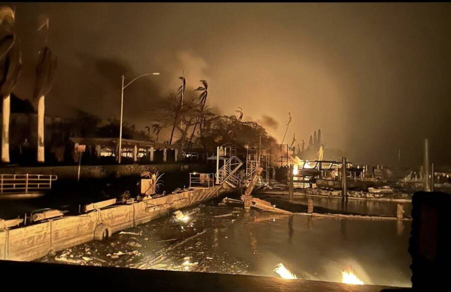 Maui Fires