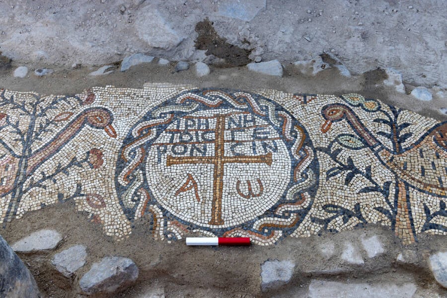 Nursing Home Mosaic In Golan Heights