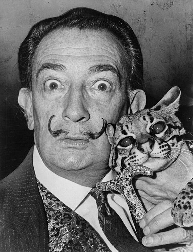 Salvador Dalí Portrait