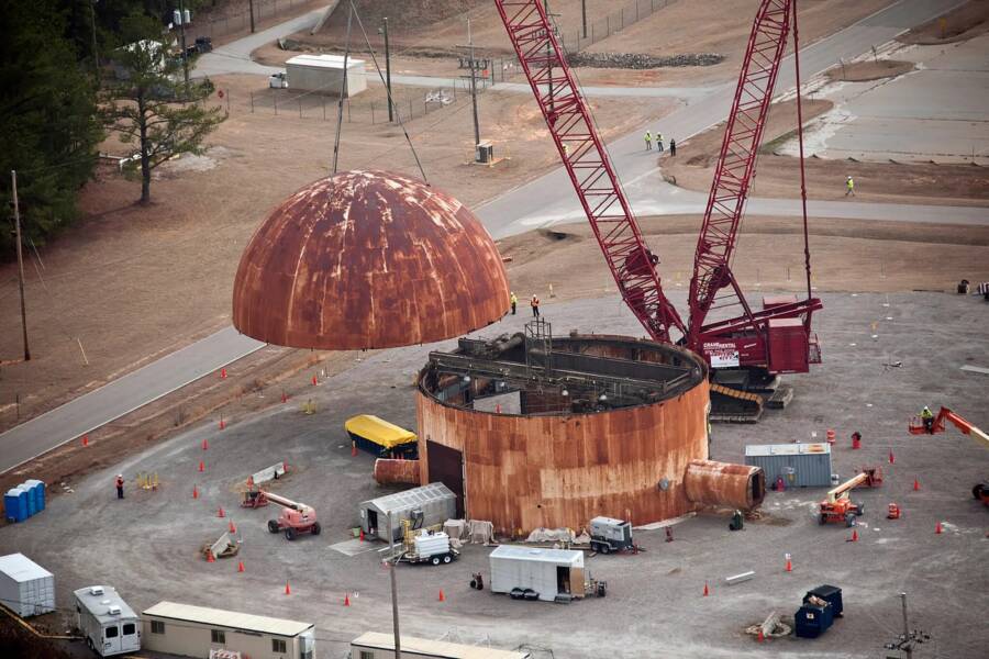 South Caroliana Radioactive Wasp Nests