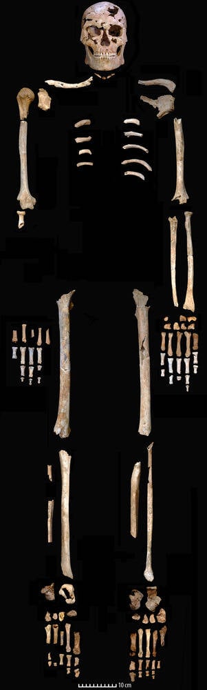 Prehistoric Skeleton Found In Thung Binh Cave