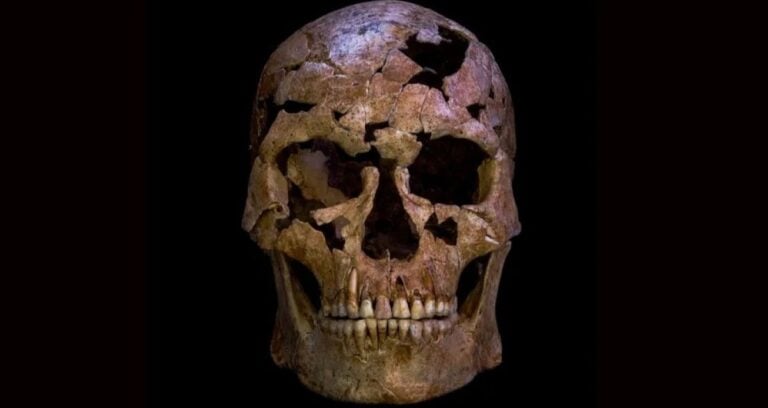 Skull Of Tbh1 In Vietnam Featured