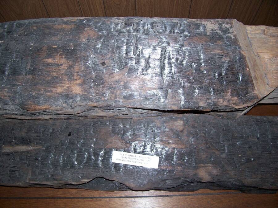 Surviving Lumber Of Peshtigo Fire