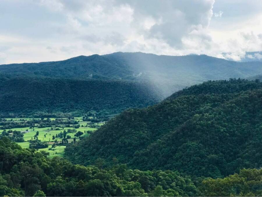 Thai Forest Sanctuary
