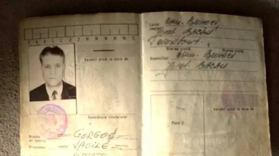 Vasile Gorgos ID