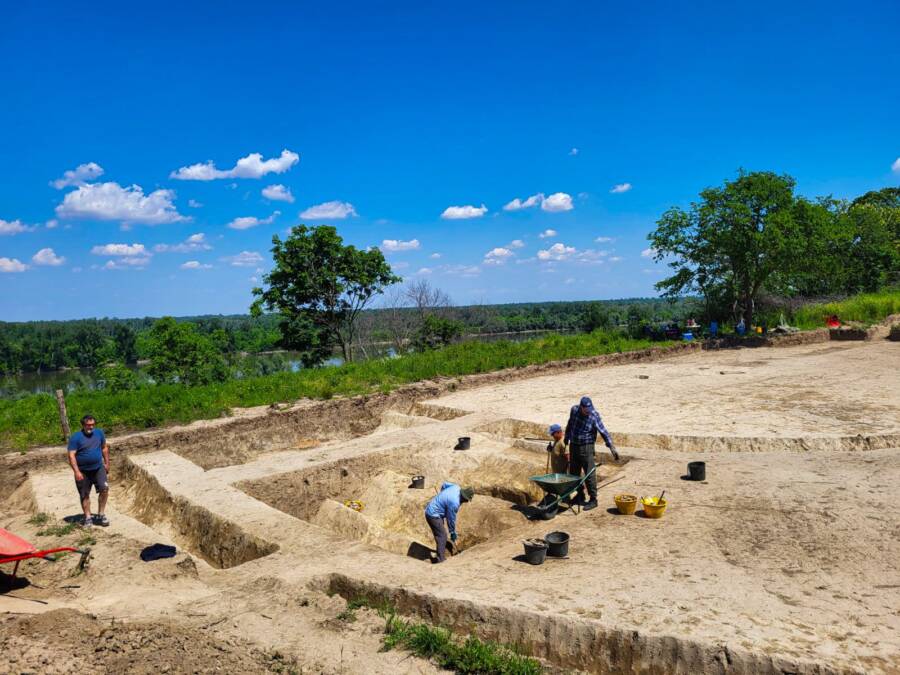 Watchtower Excavations