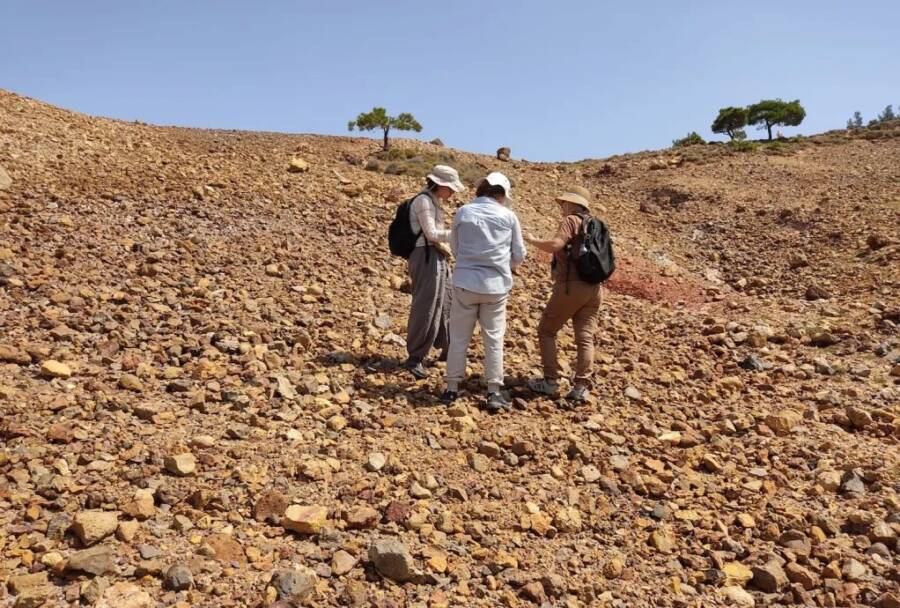 Archaeologists In Ayvalık