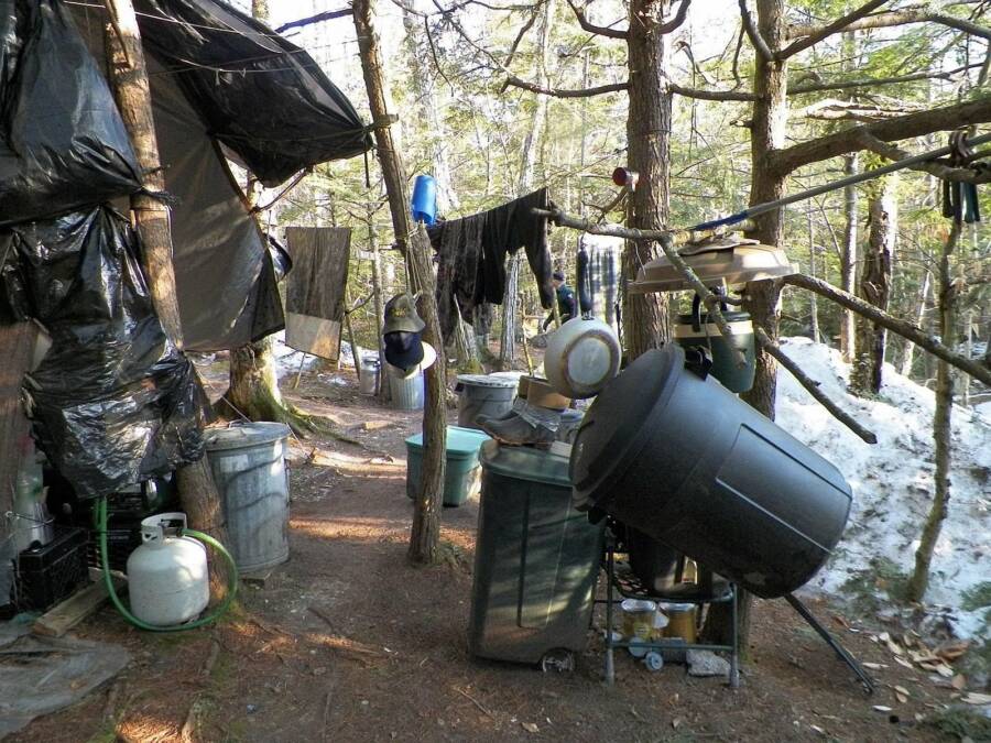 Campsite In Maine Forest