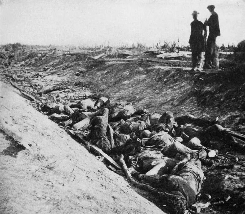 Confederate Dead At Bloody Lane