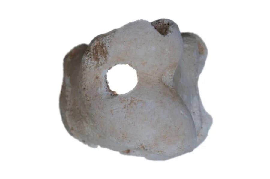 Cow Toe Bone Whistle