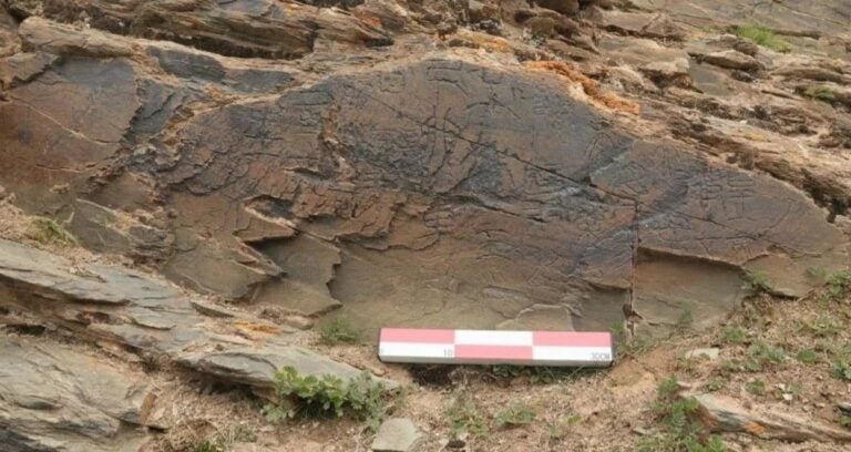 Elixir Of Life Inscription Featured