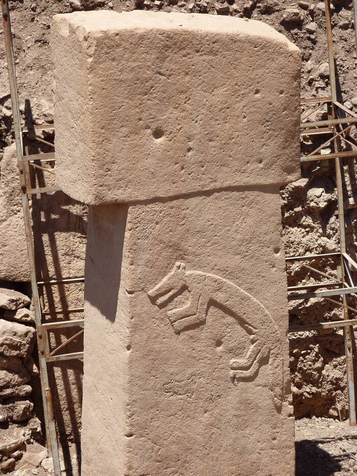 Fox Carving At Gobekli Tepe