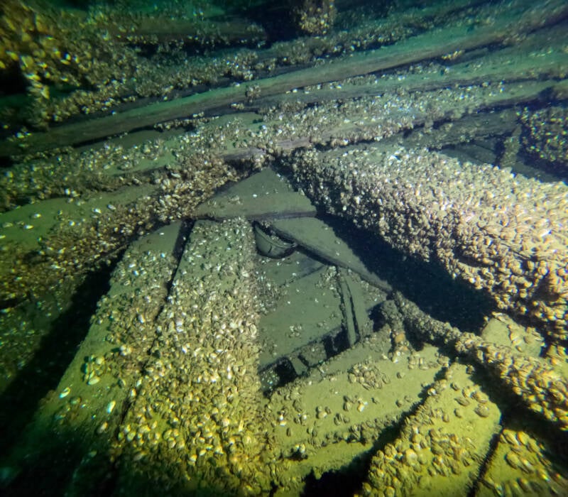 Hull Of FJ King