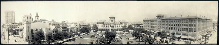 Vintage Jacksonville Florida Cityscape