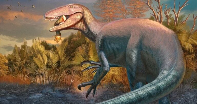 Joaquinraptor Casali Featured