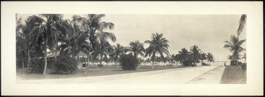 Vintage Miami Panorama