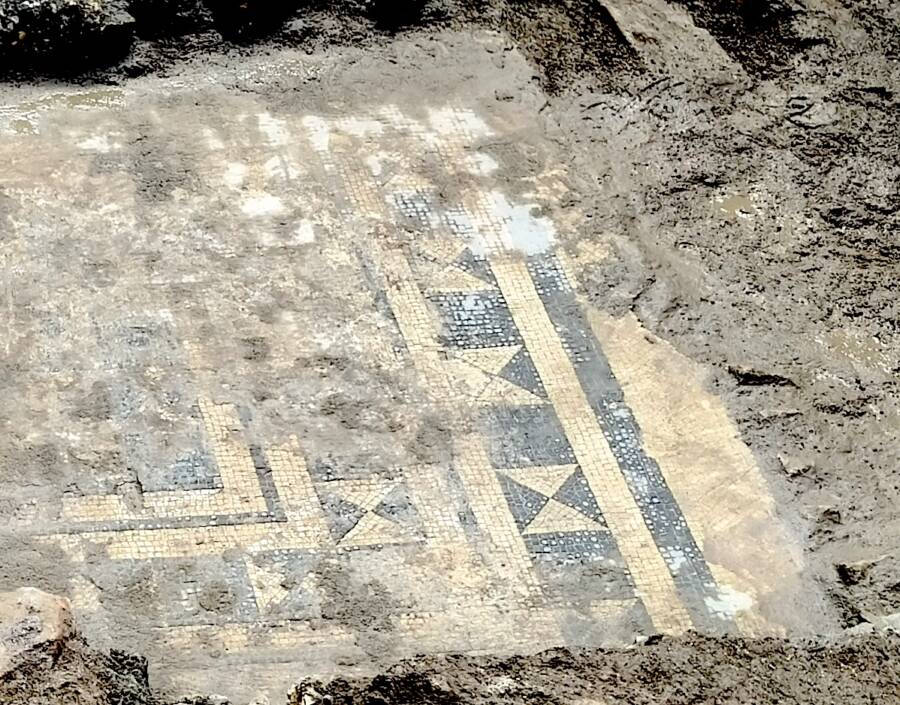 Mosaic Found In Tivoli