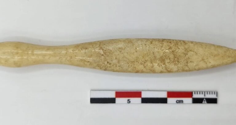 Oldest Hippopotamus Ivory Object Featured