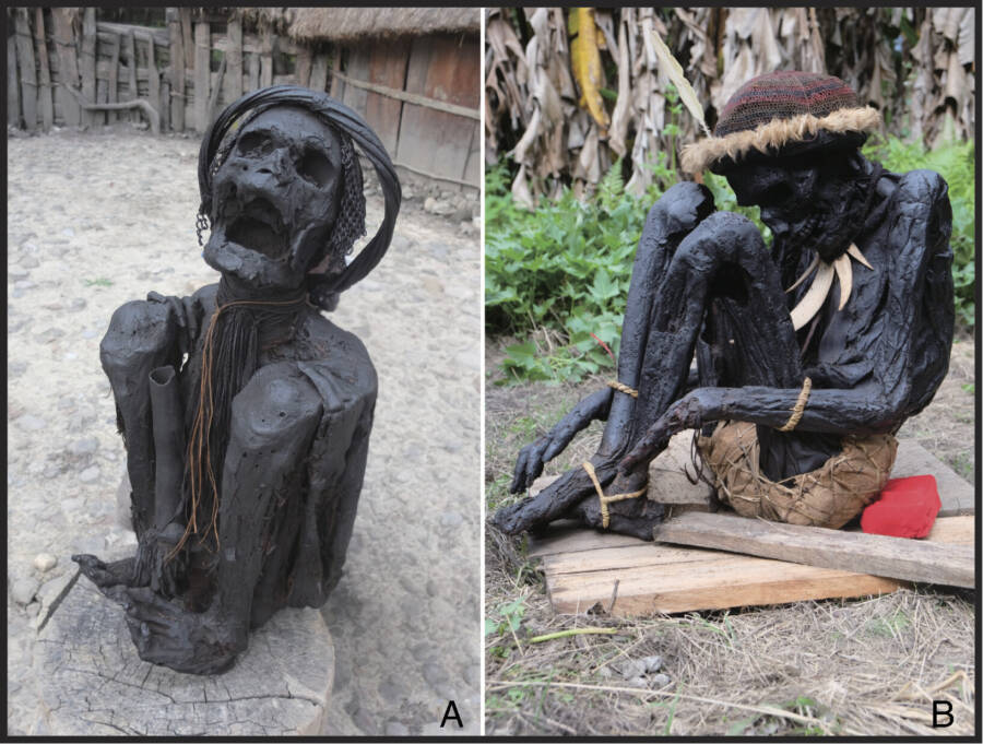 Papua Indonesia Smoked Bodies