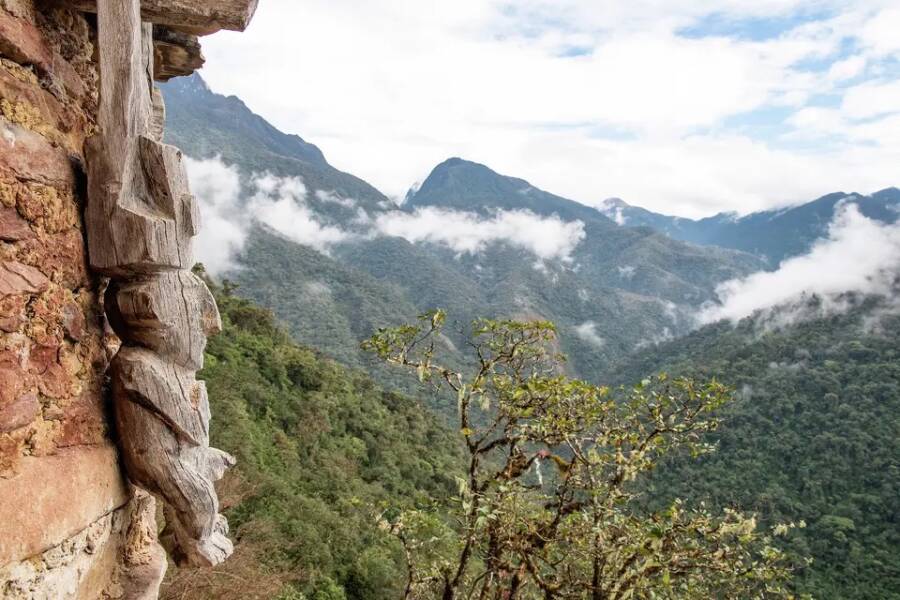 Peruvian Cloud Forest