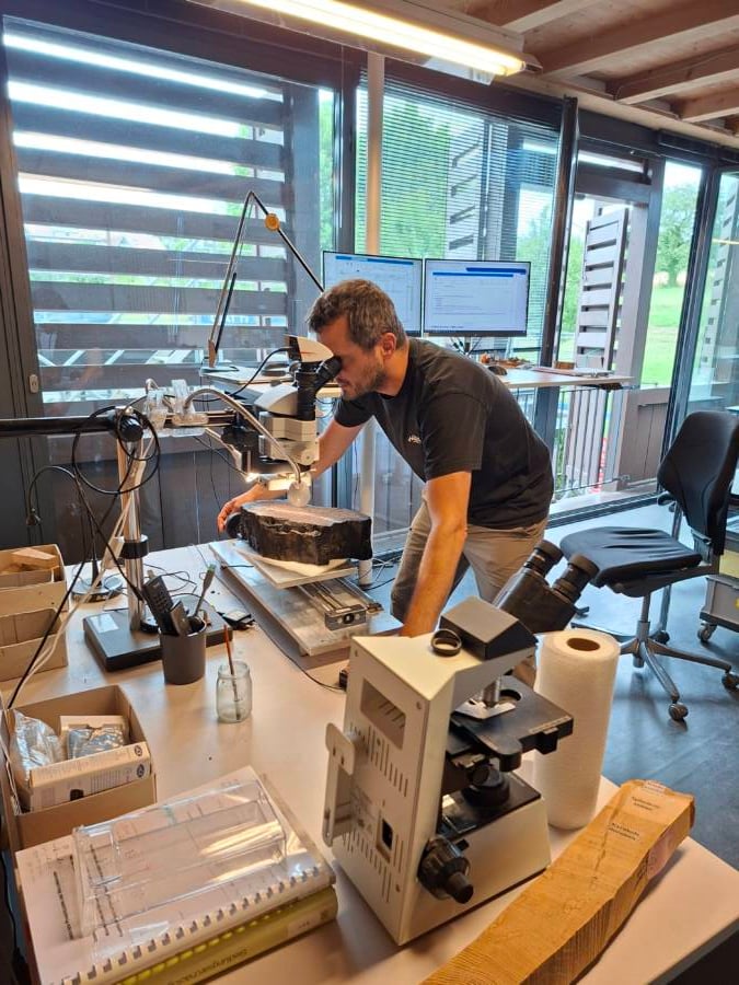 Studying Oak Samples