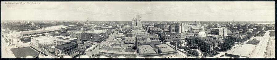 Historical Tampa Florida Panorama