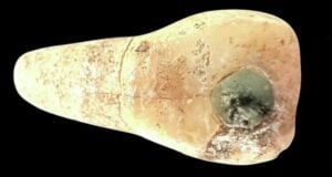 Tooth With Jade Inlay Featured